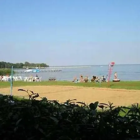 Biber Im Mueritz Seepark *