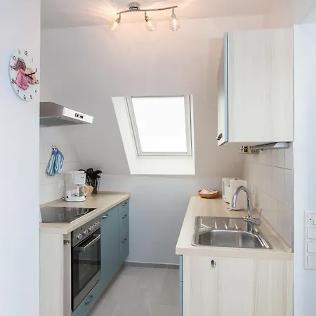 Biber Im Mueritz Seepark Marienfelde